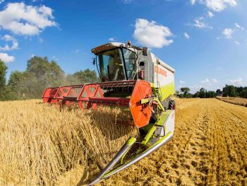 Gerstenernte mit Claas Lexion