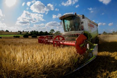 Gerstenernte mit Claas Lexion